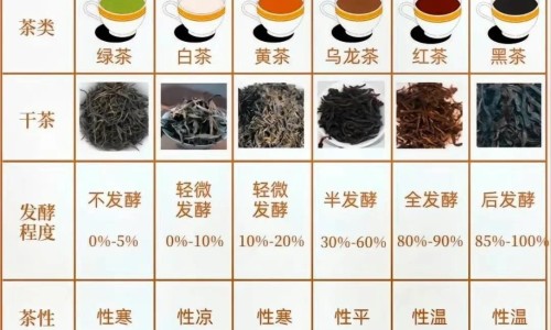 银杏叶片治耳鸣多久一疗程-【银杏叶丸对耳鸣有效果吗怎么服用】银杏叶滴丸治耳鸣有效吗 - 银杏叶丸对耳鸣有效果吗网