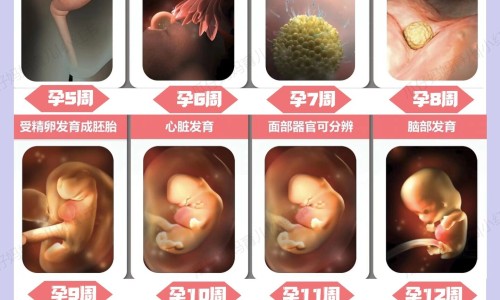 【银杏叶丸对耳鸣有效果吗怎么服用】银杏叶滴丸治耳鸣有效吗 - 银杏叶丸对耳鸣有效果吗网
